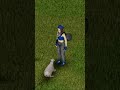 НОВОВВЕДЕНИЯ БИЛДА 42 / / #Project_zomboid