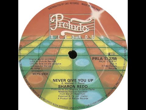 Sharon Redd- Never Give You Up(1982 ) Michael Gray Remix - YouTube
