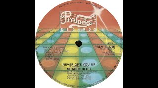 Sharon Redd Never Give You Up1982  Michael Gray Remix