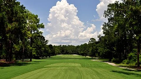 Wallace Adams Golf Course at Little Ocmulgee State...