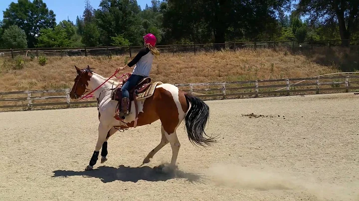 Nicole Hartmann & Bubbles - Barrel racing approach...