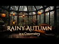 Rainy autumnal day in a conservatory ambience and music   cozy autumn atmosphere autumn fall