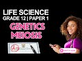 Life Science | Paper 2 Exam Revision | Meiosis (Grade 12 CAPS)