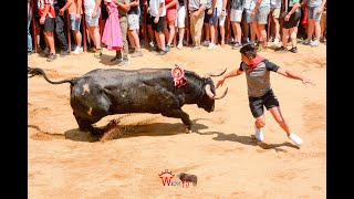 SALIDA DEL TORO DE PABLO MAYORAL EN LOS SANJUANES DE CORIA DE LA JUNTA DE DEFENSA 2023