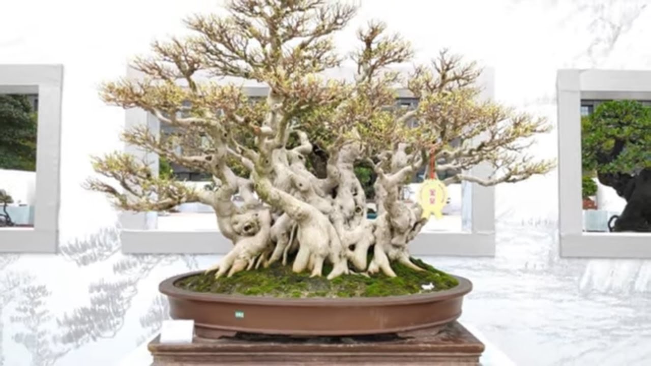 39TH NIPPON TAIKAN TEN EXHIBITION, JAPAN 2019 part 3 YouTube