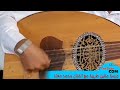 يا نجم يا سامر جلسه طربيه وعزف جميل للفنان محمد معاذ 