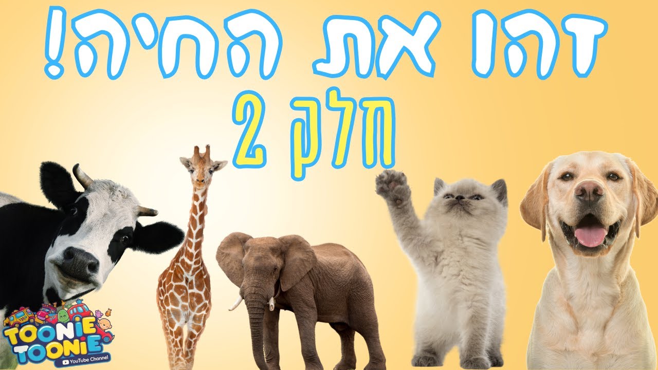 איזו חיה זו? גלו את החיות - חלק 2 | תכנים לילדים