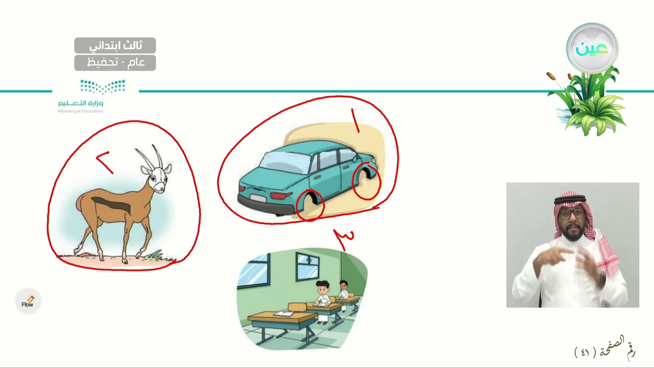 التراكيب اللغوية (استخدام - أحول) - اللغة العربية - ثالث ابتدائي