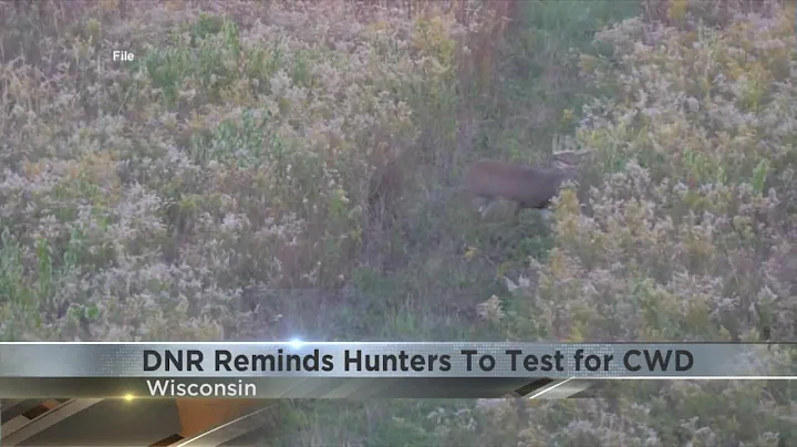 Wisconsin DNR reminds hunters to test for Chronic Wasting Disease