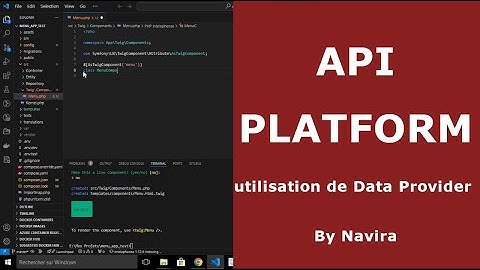 Utilisation Data Provider dans un API Platform