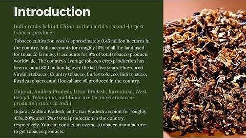 Largest Tobacco Industry and Exports in India