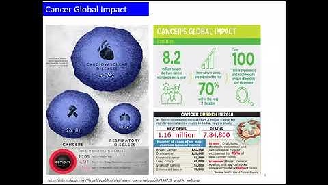 Multifunctional Magnetic Nanomaterials For Biomedical Applications - Dr. Niroj Kumar Sahu