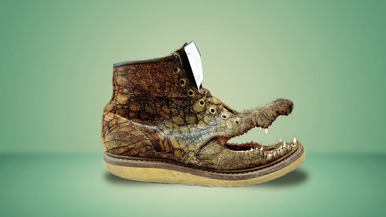 crocodile shoe