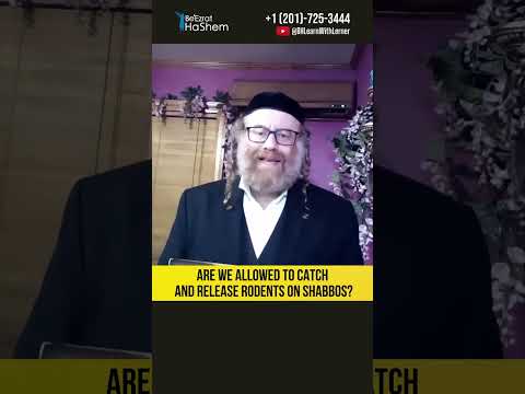 Are we allowed to catch and release rodents on Shabbos? #Torah #shorts