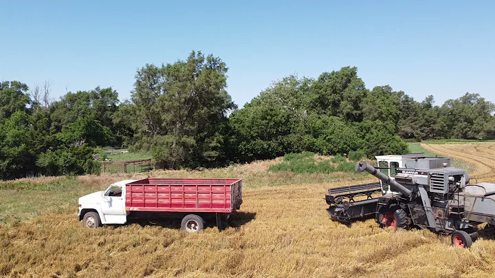 Wheat Harvest 2021 - Harper, Kansas (Part 1)
