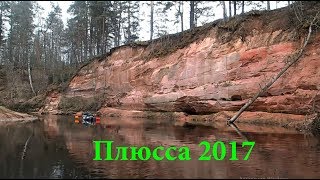 Плюсса 2017