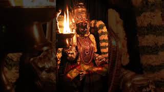 #annamma_devi #timple #Shakti Devi#banglore#butiful #feelings #goodvibes #new #shortvideo #supportme