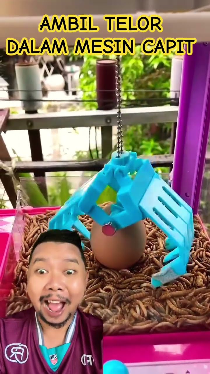 AMBIL TELOR DALAM MESIN CAPIT ULER!!!!? #mesincapit #cute #clawmachine #pets #shorts
