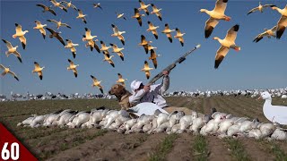 My BEST Snow Goose Hunt YET! | Spring Goose Hunting 2022
