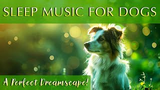 Magical Dog Dreams 🐶 Enchanted Melodies for Canine Slumber