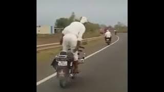 Ekspresi bebas hutang
