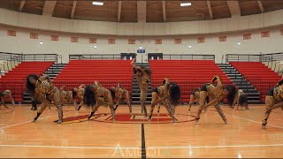 TDP Dancing Divas (Columbus GA) - Floor Show | Delta Phi Delta Rumble in The Jungle: Round 2