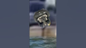 Kỷ luật là cầu nối giữa mục tiêu và thành tựu! #kyluat #kỷluậtđểthànhcông #kyluatbanthan