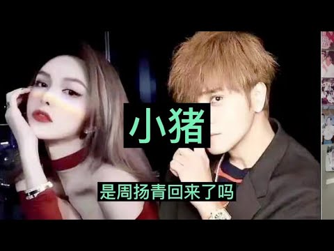 小猪昨天宣布她回来了，是周扬青吗？白龙王去世10年，小猪获新生