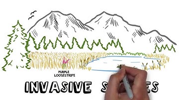 Invaders! Invasive Species in BC