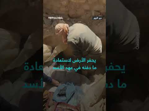 حفر أثري في منطقة الزيت كانان