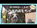 【おもちゃ】3コインズのトンネルおもちゃデビュー