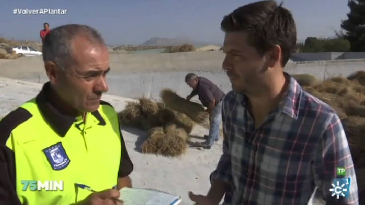 75 minutos | Vuelve el esparto