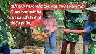 WHAT ARE THE BEST BEEKEEPING QUESTIONS OF THE WEEK? NINH PHUONG BEEKEEPING.