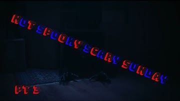 DO YOU LIKE TWO PLAYER GAMES(NSSS #03)