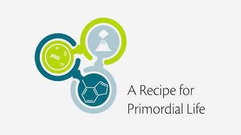 A Recipe for Primordial Life