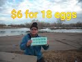 The Cost of Eggs