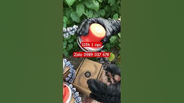 Cục cước cắt cỏ bằng xích dùng phát hoang ☎️