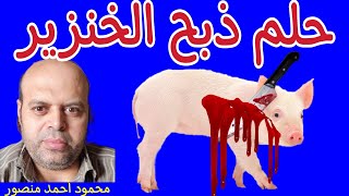 تفسير حلم ذبح الخنزير في المنام محمود منصور 