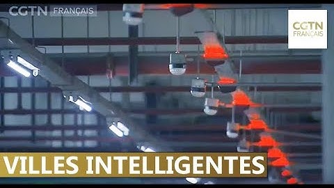 Les Chinois de l'étranger contribuent au développement