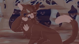 Young and Unafraid, Warriors OC PMV MAP part 4 @bleachwaffle