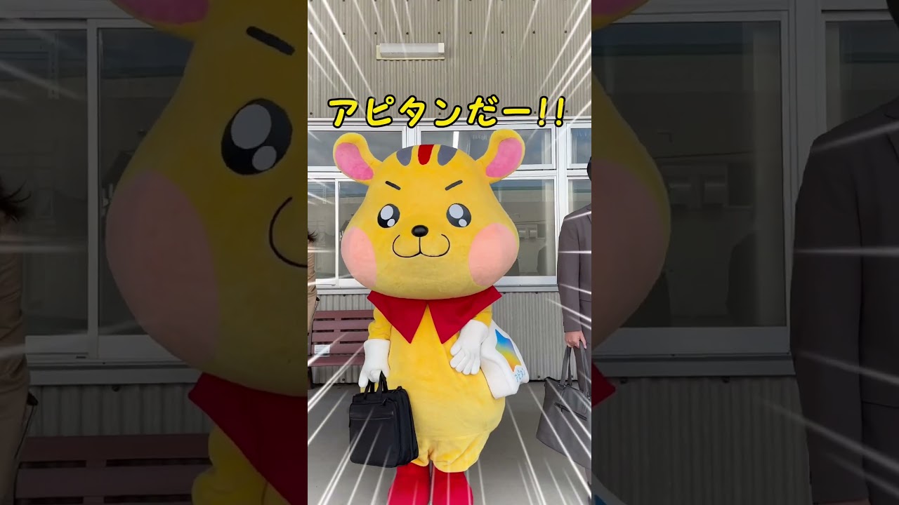 アピタンピアタンの日常001【アピタンバスに乗る編】#shorts #アピタン