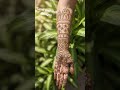 Megandi designs made with love ✨ #simple megandi #megandi designs 2026 #henna designs