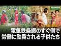 ＜北朝鮮動画＞電気鉄条網の側で子供たちが奉仕労働　「労働を愛する心を育む」を口実に動員