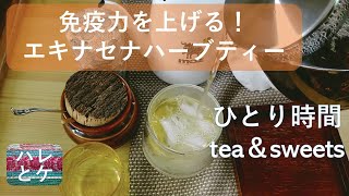 【ひとり時間】秋に飲みたい健康茶とお菓子で食欲の秋/インフルエンザ予防のハーブティーエキナセナ/Japanese sweets/tea Life