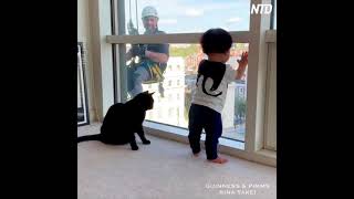 Весёлые мойщики окон / Funny window cleaners