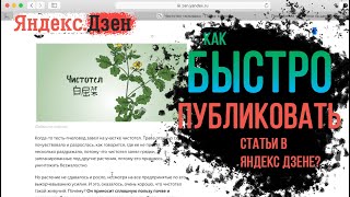 Статья в Яндекс Дзене за 10 минут. Как быстро публиковать?