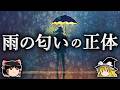心地よさと不快感の両方をもたらす物質 ~ゲオスミン~【ゆっくり解説】