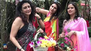 Sari ya Saree Sari ya Saree