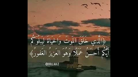 سورة الملك , بصوت ناصر القطامي , مقاطع انستقرام