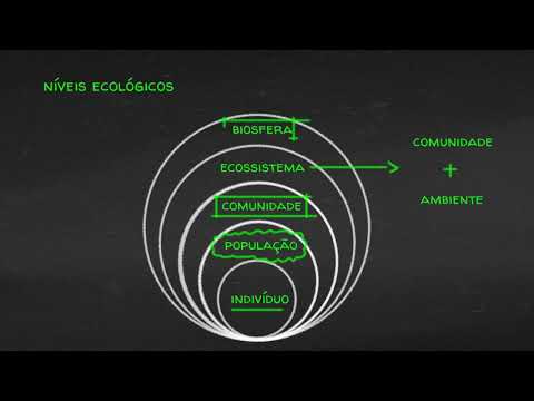 Vídeo: O Que é Equilíbrio Ecológico